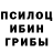 Галлюциногенные грибы мицелий Antonina Banderas