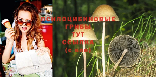 марки nbome Абаза