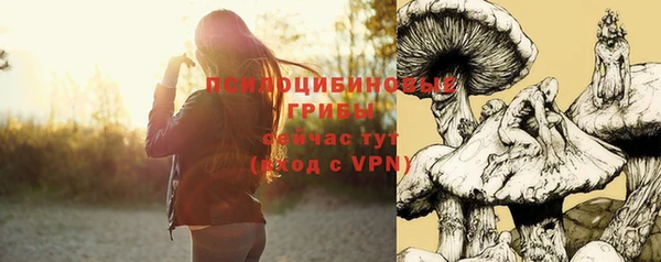 марки nbome Абаза