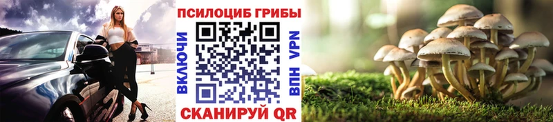 Псилоцибиновые грибы Magic Shrooms  hydra ССЫЛКА  Барыш  где купить наркоту 